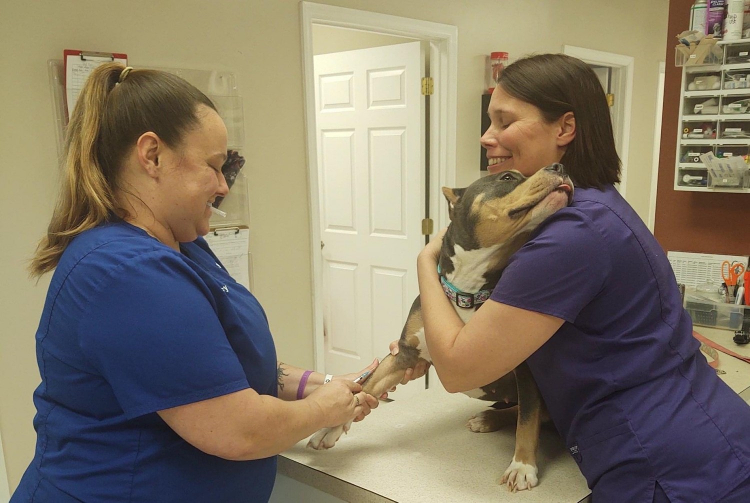 Trenton Animal Hospital, Trenton, FL 32693 Our Doctors